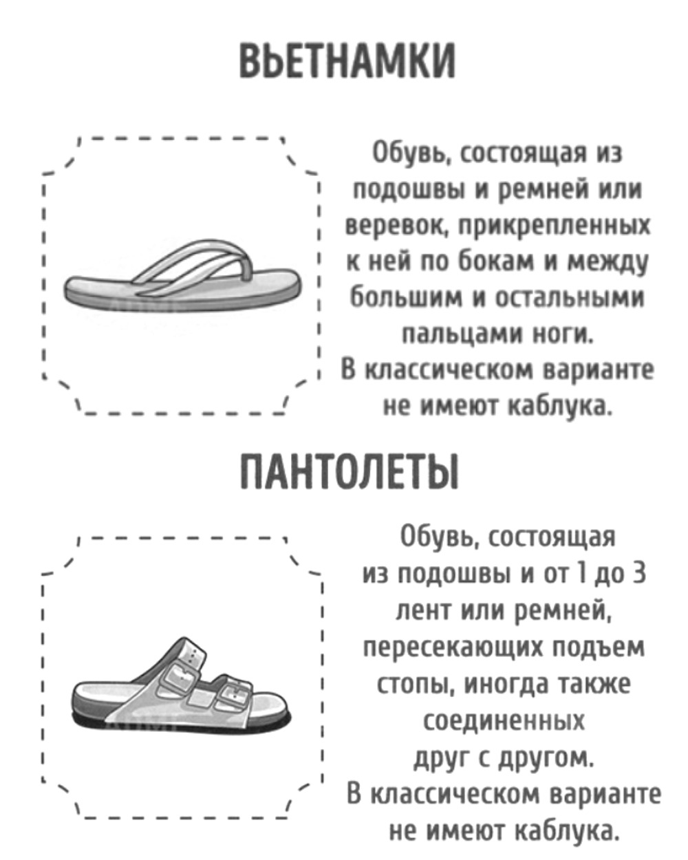 Виды женской обуви