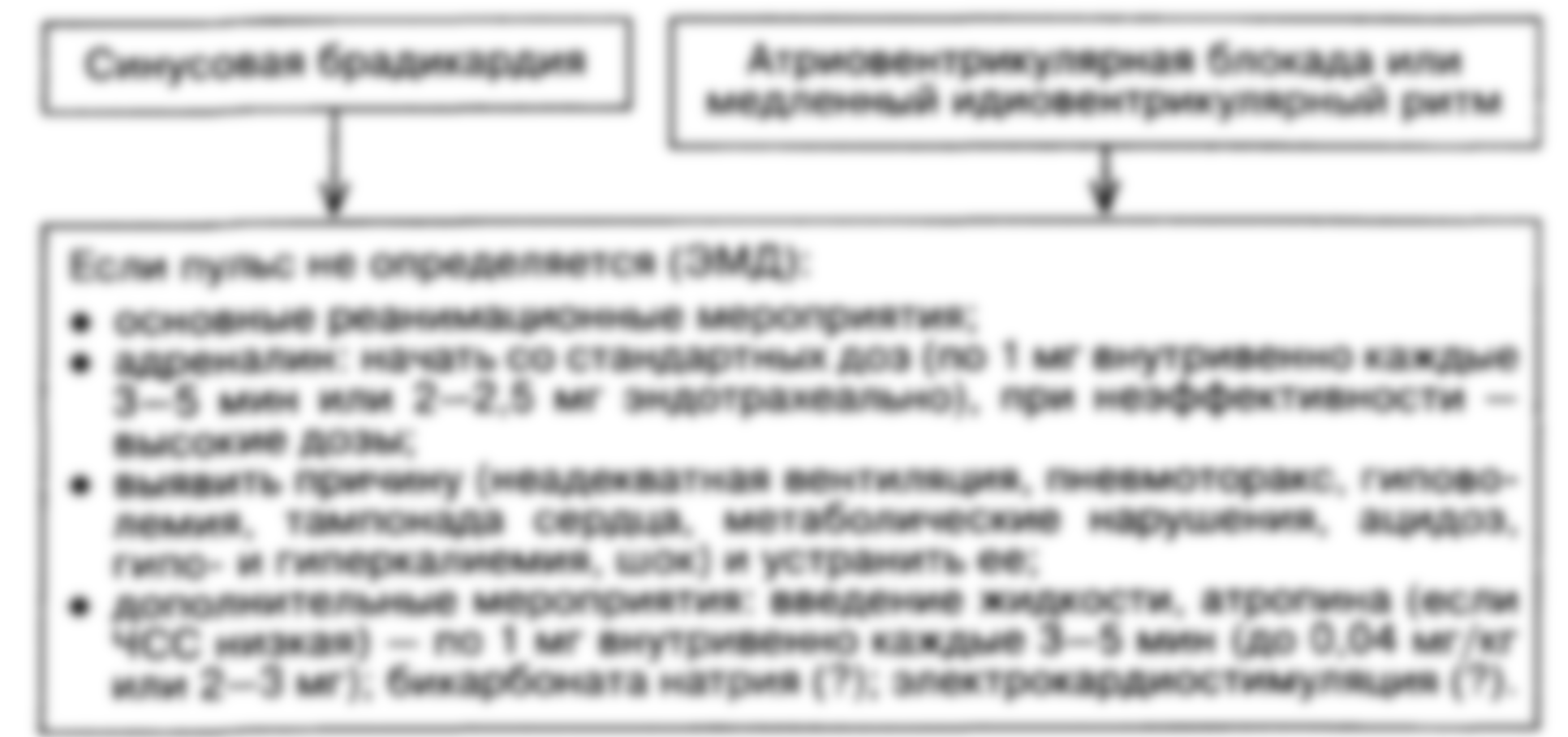 Причины и симптомы брадикардии сердца