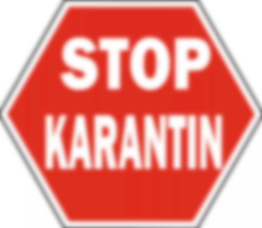 Как не заразиться коронавирусом в России