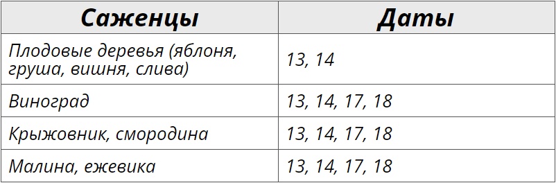 Лунный посевной календарь на сентябрь 2024 года для кустарников и деревьев– Kleo.ru