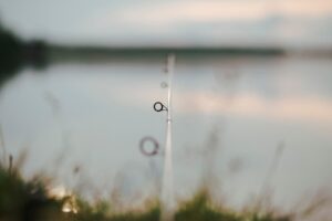 Когда рыбачить в 2022 году: актуальные ограничения и обновления q0cwffeaugnw32k8bf