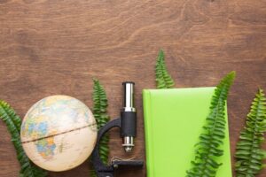 Как юридическим лицам платить налог на землю в 2022 году и когда это нужно сделать 5vk2pxpcdym13wazyw