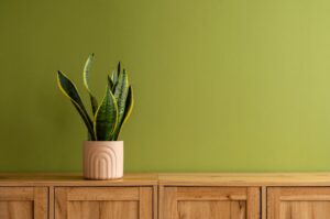 Как использовать зеленый цвет в дизайне кухни lkhv5yhhmdp3j729d4