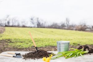 Когда сажать в июне 2020 года: благоприятный календарь посевов vta3678oesgp3p8596